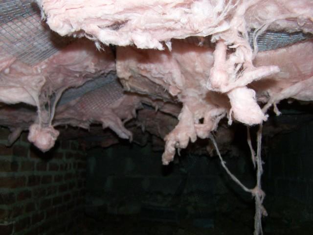 Fiberglass Insulated Crawlspace in Stamford, CT