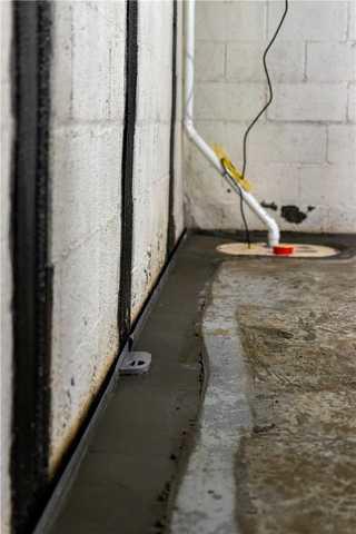 TripleSafe Sump Pump System