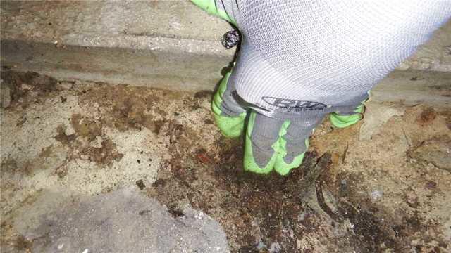 Mold Growth on Floors