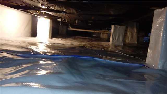 CleanSpace Covers Everything