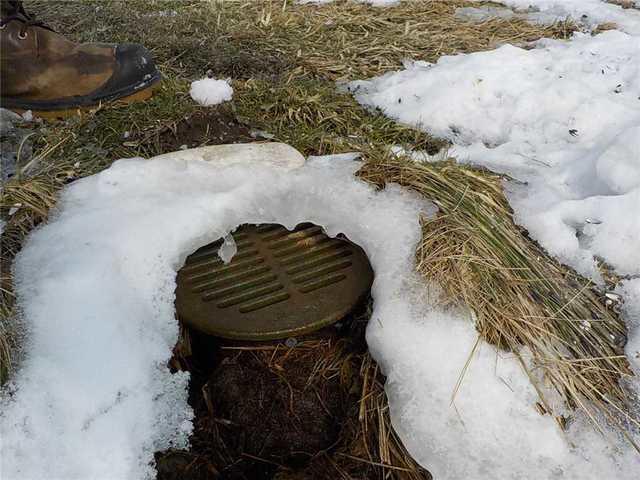 Last But Not Least, LawnScape Outlet