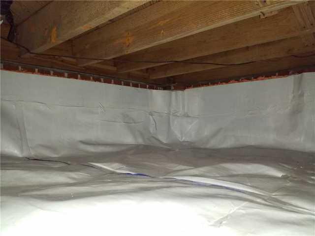 CleanSpace Liner
