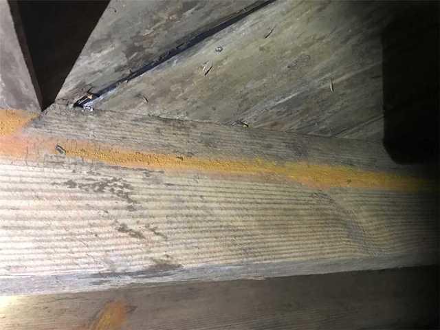 Moisture = Mold