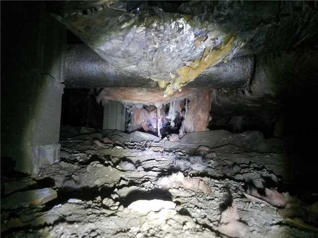 A Nasty Crawl Space in Charleston, SC