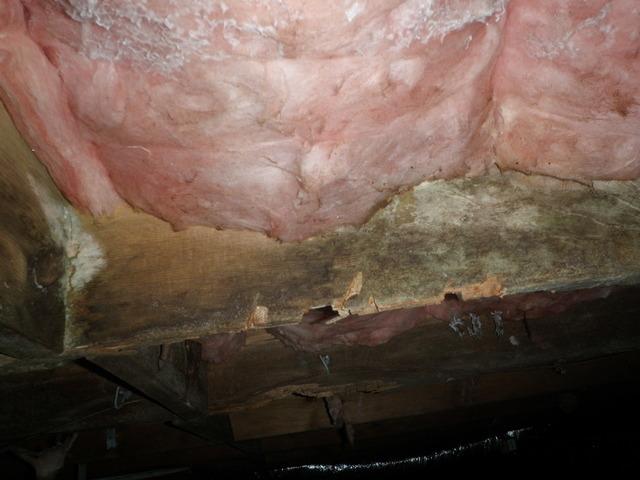 Sussex County Crawlspace Insulation Repair