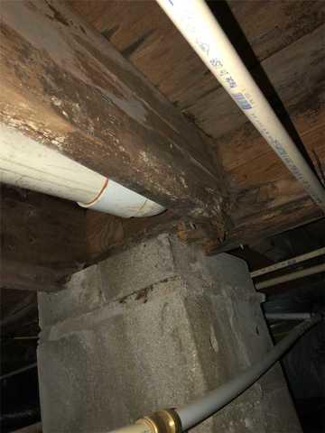 Much of the foundation supporting the home was wet, weak and had mold.