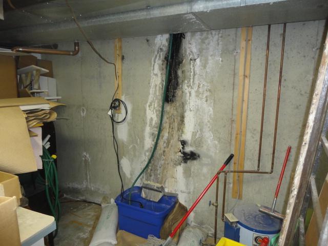 Moldy Wall Crack in Somers, CT