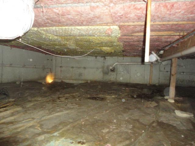 Moldy Crawl Space in New Preston Marble Dale
