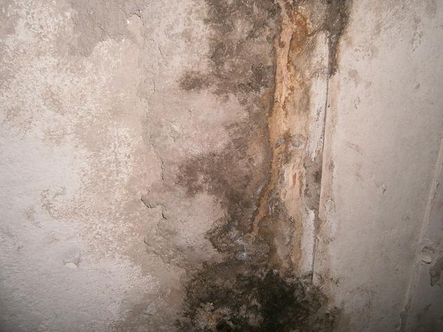 Damp Wall Crack in Rocky Hill, CT