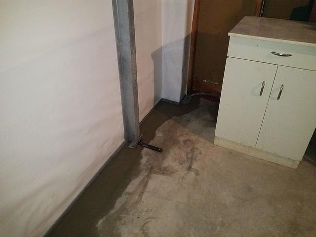 Can Be Paired With CleanSpace