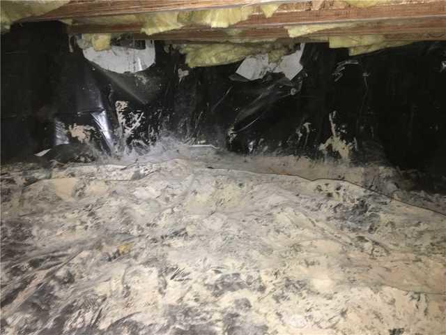 Typical crawlspace in Oregon