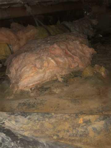 On the floor of the crawlspace sat large portions of insulation torn down from previous critters in the crawlspace. this renders the insulation useless and also contributed to cold areas of the home.