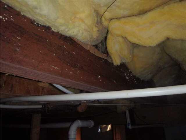 During the inspection, Lowcountry Foundation Repair identified multiple locations where mold was growing.