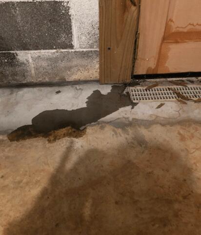 The basement suffered from water damage from repeated flooding.