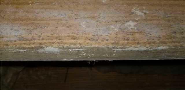 When crawl spaces aren't encapsulated, the humid air can allow mold to grow on organic material such as wooden joists and subfloors.