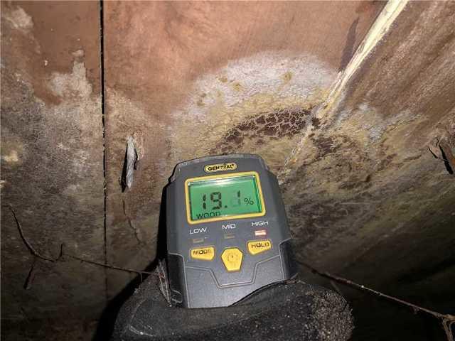 Mold on the Joists