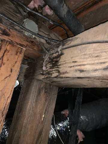 This posts has black mold growing in it, due to excessive moisture in the crawlspace. Our team treated this mold and encapsulated the space so mold was no longer an issue for them.