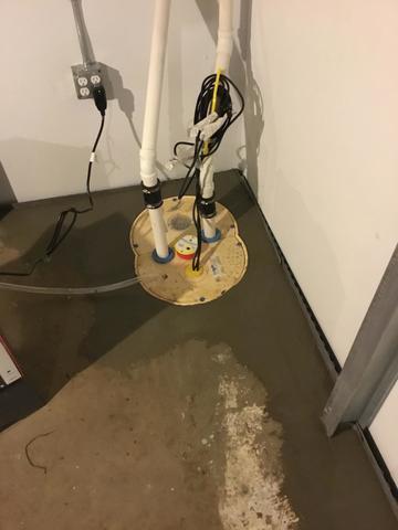 TripleSafe Sump Pump System.