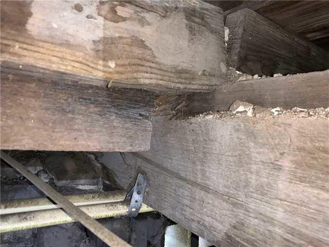 Sagging Joists Under The Home