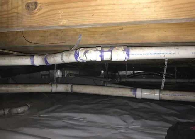 No Mold Growth
