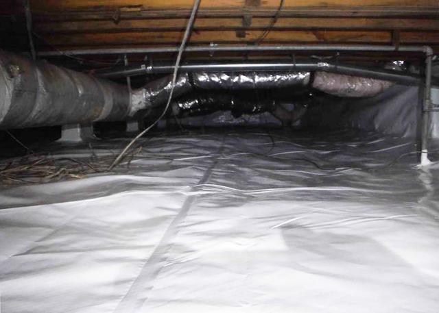Custom Fix Liner
