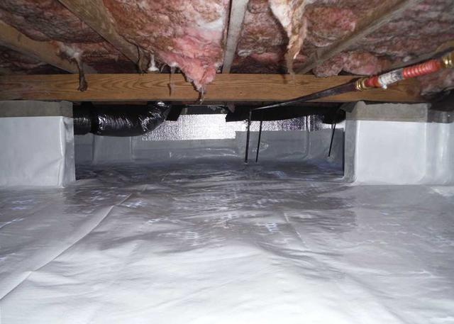 No Problems with Mold and Mildew
