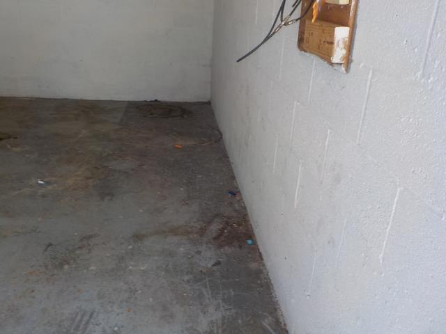 Before Photo