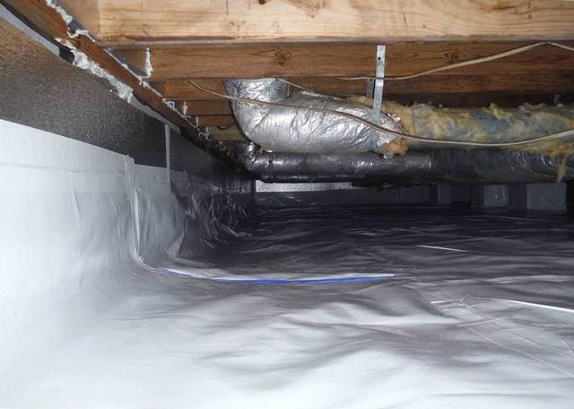 Removed the Old Insulation