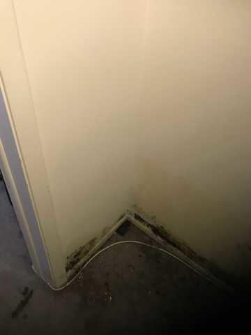 Water damage in Palatine IL