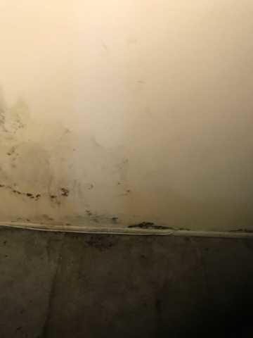 Water damage in Palatine IL