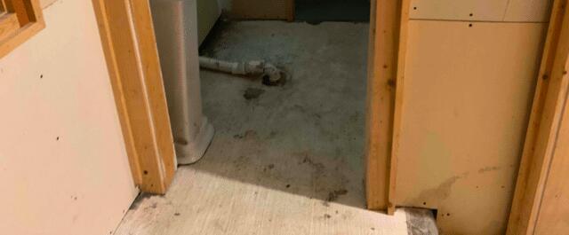 Before