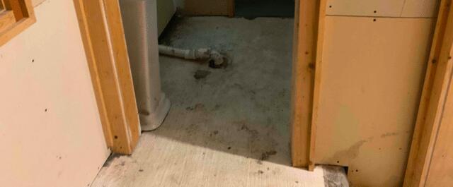 There was extensive water damage and a mold problem because of the moisture level in the basement.