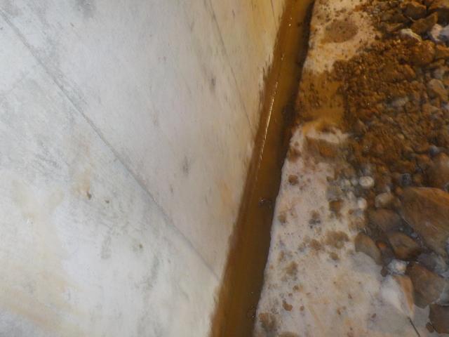 WaterGuard and TrenchDrain