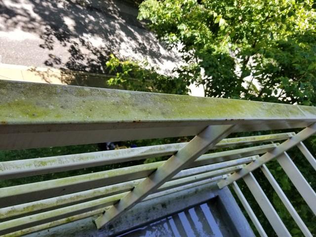 Pollen on Balconies