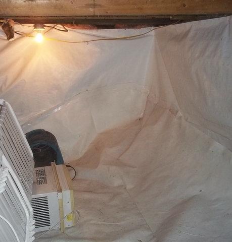 Plastic Crawl Space