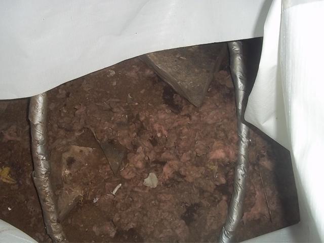 Wet Crawlspace in Central Village, CT