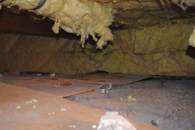 Crawlspace before encapsulation