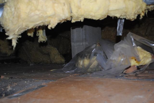 Old insulation in crawlspace