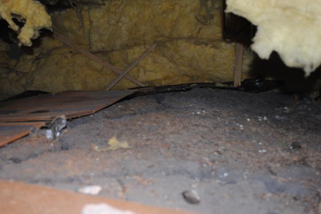 Dirt crawlspace floor