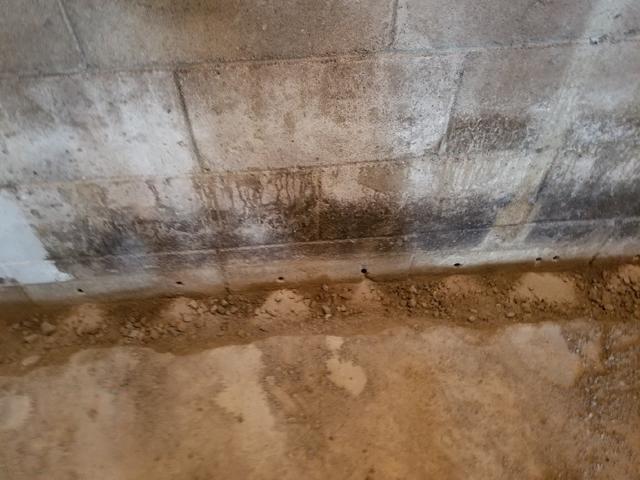 Basement Waterproofing