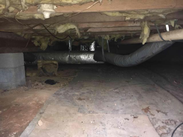 The vapor barrier in this crawl space is the traditional 6-mil installed at construction. In some areas it is completely missing. This typically occurs as service people crawl on the thin material and cause it to tear and shift.