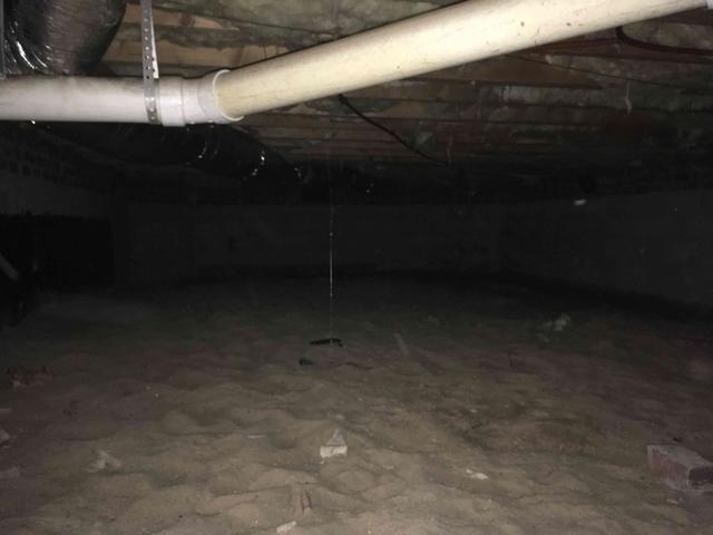 Crawlspace Before