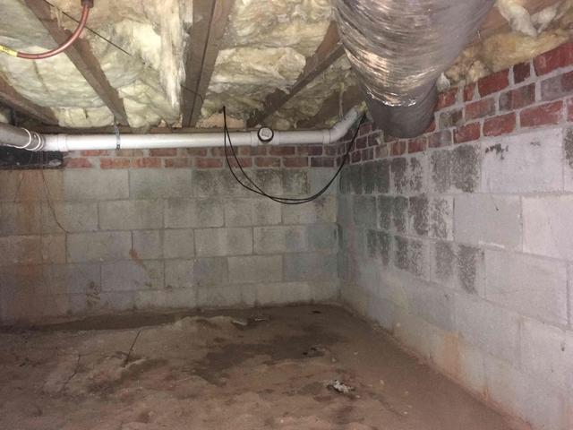 Mold had started to form on the block walls of the crawl space.