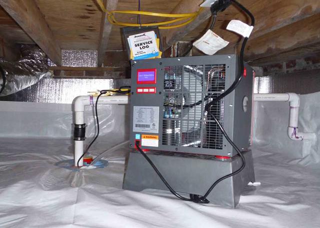The worlds smallest and most effective dehumidifier