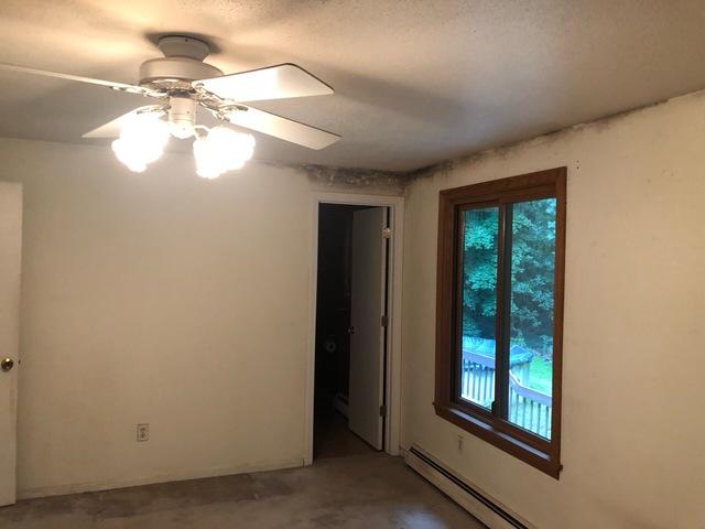 Ceiling Stains