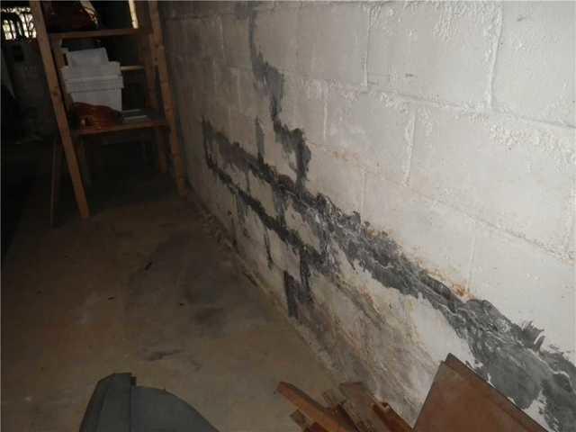 <p>The roots of a big tree dug into the wall and caused cracks in the cinder block wall.</p>