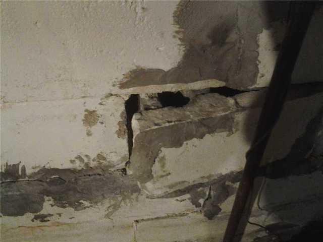 <p>When roots break through a basement wall structural damage can hurt the home's value, or worse, seriously weaken the home's foundation!</p>