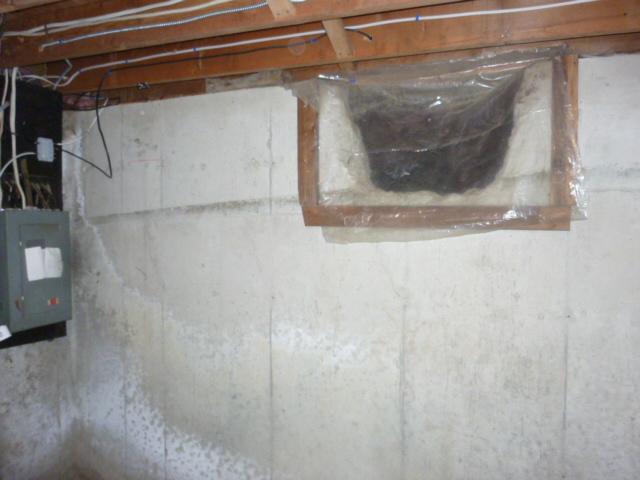 Damp Walls in Canton Center, CT
