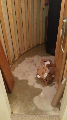 Flooded basement in Glenview, IL