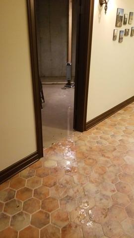 Flooded basement in Glenview, IL